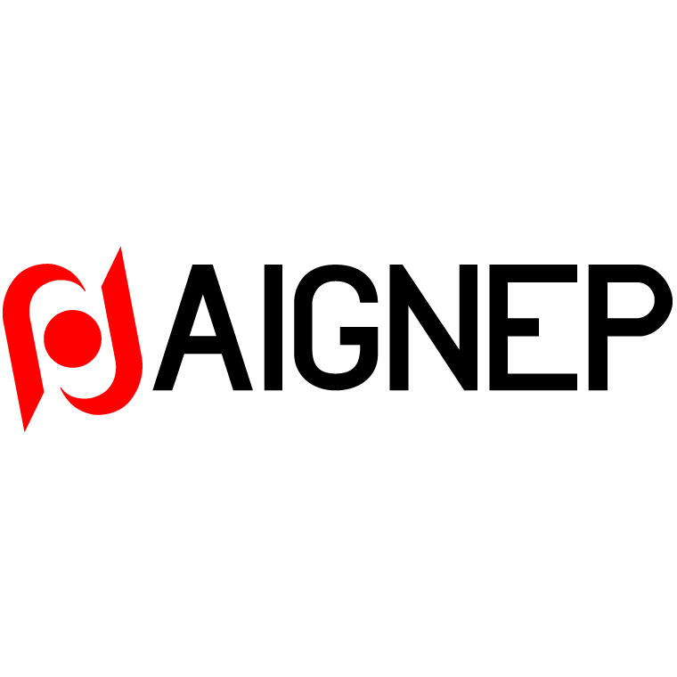 5.AIGNEP