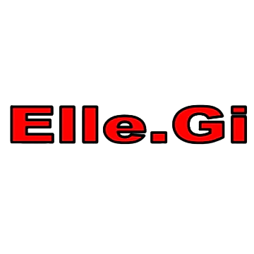 7.ELLEGI